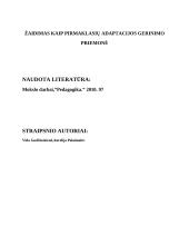 Žaidimas kaip pirmaklasių adaptacijos gerinimo priemonė 2 puslapis