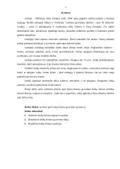 Lenkų šeimos gyvenimo ypatumai 3 puslapis