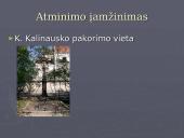 1863-1864 žymiausi sukilimo vadai 11 puslapis