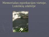 1863-1864 žymiausi sukilimo vadai 12 puslapis