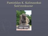 1863-1864 žymiausi sukilimo vadai 13 puslapis