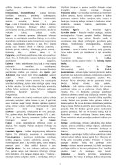 Sąvokų žodynėlis lietuvių kalbai 2 puslapis