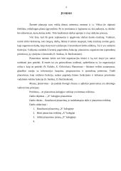 Vadybos kursinis. Planavimas. 4 puslapis