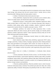 Vadybos kursinis. Planavimas. 7 puslapis