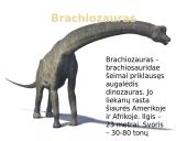Dinozaurai 10 puslapis