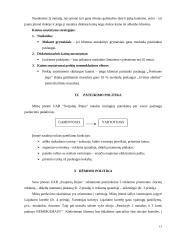 UAB „Svajonių rojus“ rinkodaros veiklos analizė 13 puslapis