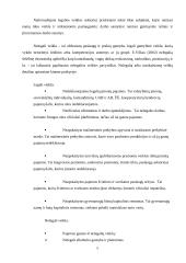 Šešėlinė ekonomika referatas 2 puslapis