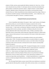 Šešėlinė ekonomika referatas 11 puslapis