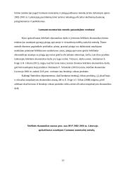 Šešėlinė ekonomika referatas 20 puslapis