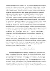 Šešėlinė ekonomika referatas 9 puslapis