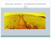 Skaidrės apie Maironį 8 klasei 14 puslapis