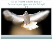 Skaidrės apie Maironį 8 klasei 5 puslapis