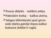 Sudėtinis sakinys skaidrės 13 puslapis