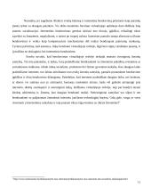 Jaunimo bendravimas virtualioje tikrovėje problemos ir galimybės 11 puslapis