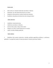 Jaunimo bendravimas virtualioje tikrovėje problemos ir galimybės 5 puslapis