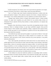 Jaunimo bendravimas virtualioje tikrovėje problemos ir galimybės 6 puslapis