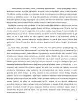 Jaunimo bendravimas virtualioje tikrovėje problemos ir galimybės 10 puslapis