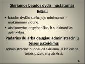 Administracinės teisės skaidrės 13 puslapis