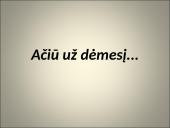 Administracinės teisės skaidrės 17 puslapis