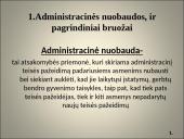 Administracinės teisės skaidrės 4 puslapis