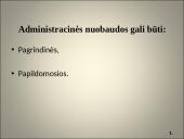 Administracinės teisės skaidrės 10 puslapis