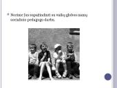 Skaidrės apie socialinį darbą 13 puslapis