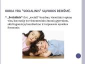 Skaidrės apie socialinį darbą 5 puslapis