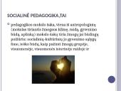 Skaidrės apie socialinį darbą 6 puslapis