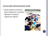 Skaidrės apie socialinį darbą 8 puslapis