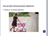 Skaidrės apie socialinį darbą 10 puslapis