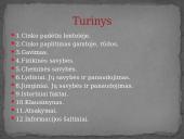 Cinkas skaidrės 2 puslapis