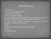 Cinkas skaidrės 12 puslapis