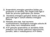 Bendra ATP gamybos ir panaudojimo schema ląstelėje 12 puslapis