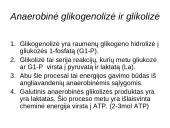Bendra ATP gamybos ir panaudojimo schema ląstelėje 13 puslapis