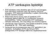 Bendra ATP gamybos ir panaudojimo schema ląstelėje 3 puslapis