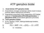 Bendra ATP gamybos ir panaudojimo schema ląstelėje 4 puslapis
