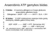 Bendra ATP gamybos ir panaudojimo schema ląstelėje 5 puslapis