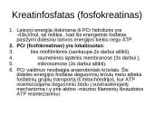 Bendra ATP gamybos ir panaudojimo schema ląstelėje 6 puslapis