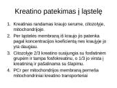 Bendra ATP gamybos ir panaudojimo schema ląstelėje 8 puslapis