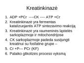 Bendra ATP gamybos ir panaudojimo schema ląstelėje 9 puslapis