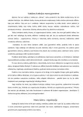 Kas yra vadyba ir kaip aš ją taikau savo asmeniniame gyvenime? 7 puslapis