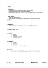 Pilietinio ugdymo pamokos ,,Vertybės šiandien ir rytoj“ planas - konspektas 2 puslapis