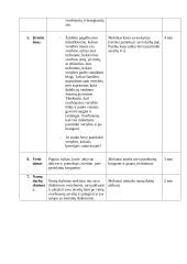 Pilietinio ugdymo pamokos ,,Vertybės šiandien ir rytoj“ planas - konspektas 6 puslapis