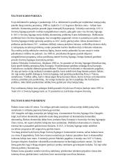 Šaltasis karas referatas 12 puslapis