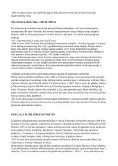 Šaltasis karas referatas 10 puslapis