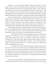 Biologijos referatas. Evoliucijos teorija 11 puslapis