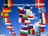 Europos Sąjunga skaidrės 11 puslapis