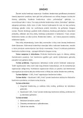 Bendravimo samprata, kultūra, klaidos ir jų prevencija 2 puslapis