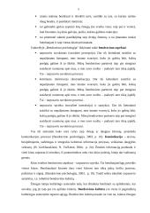 Bendravimo samprata, kultūra, klaidos ir jų prevencija 5 puslapis