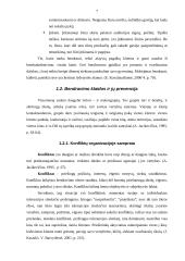 Bendravimo samprata, kultūra, klaidos ir jų prevencija 7 puslapis